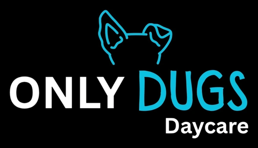 Only Dugs Daycare